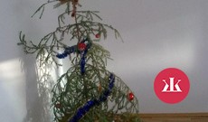 Najškaredšie vianočné fotografie, stromčeky a svetre: Tie asi nemal nikto vidieť - KAMzaKRASOU.sk
